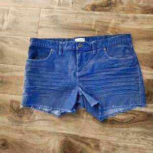 Carve DESIGNS Caribbean Blue Corduroy Women's Shorts 4 Inch Mid Rise